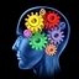 the BrainDamage