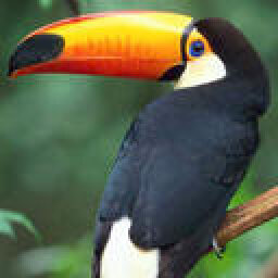 LeetPotta