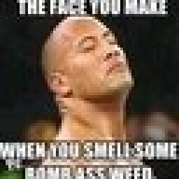 jEsm0
